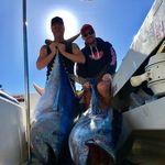 David Torelli - @david_torelli - Instagram