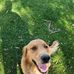 David Torgerson - Facebook
