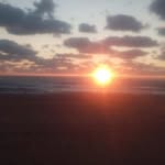 David Torgerson - @torgerson_david - Instagram