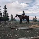 David Torgerson - @davidwtorgerson - Instagram