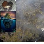 David Torgerson - @davidto444 - Instagram