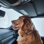 David Torgerson - @torgerson598 - Instagram