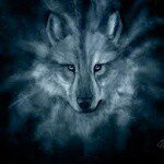 David Totten - @graywolf662015 - Instagram