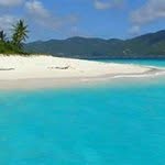 David Tracey - @david.tracey.944 - Instagram
