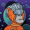 Davidtrader - @tradelove1 - TikTok