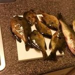 David Trahan - @david.trahan.dt - Instagram