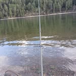 David Trail - @david.trail.56 - Instagram