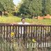 David Traugott - Facebook