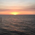 David Trawick - @dtrawicksr - Instagram