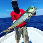 @david_trawick - Instagram