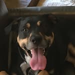 David Treadway - @davidtread4_9 - Instagram