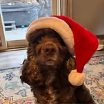 David Treadway - @phlying1 - Instagram