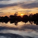 David Trewin - @davidtrewin6 - Instagram