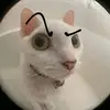 David Tribble - @davidtribble6085 - TikTok