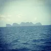 David Trigg - @trigglar - TikTok