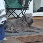 David Trigger Thomas - @davidtriggerthomas - Instagram