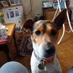 David Trivett - @trivett631 - Instagram