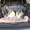 davidtroy727 - @david.troy94 - TikTok