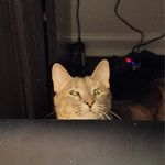 David Truax - @dttruax1 - Instagram