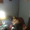 davidtruax388 - @davidtruax388 - TikTok