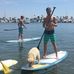 David Tryon - Facebook