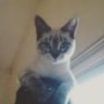 David Tucci - @davidtucci65 - Instagram