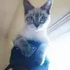 David Tucci - @davidtucci2 - TikTok