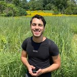 David Tucciarone - @davidtuccia - Instagram