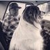 Dave Deakman - Facebook