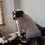 David  Tunstall - @davidtunstall7 - Instagram