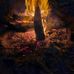 David Allen Tunstall - Facebook