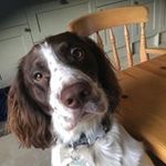 David James Tunstall - @davidjamestunstall - Instagram