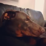 David tunstall - @tunstall810 - Instagram