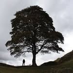 David Tunstall - @mav_dt - Instagram