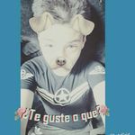 David Ugarte - @david_ugarte12 - Instagram