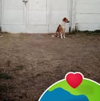 David Ugarte - Facebook