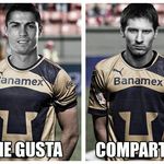 David Ulloa - @david_ulloa - Instagram