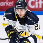 reinis - @david_ullstrom_fp - Instagram