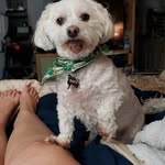 David Ulmer - @wowzeru767 - Instagram