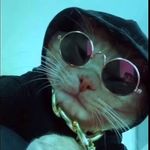 david ulmer - @david._.ulmer - Instagram