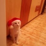 David Ungureanu - @david.ungureanu - Instagram