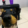 David Uresti272 - @daviduresti1 - TikTok