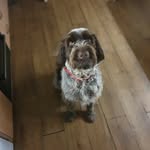 David Usher - @david.usher.144 - Instagram