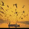 David Vail - @david.vail6 - TikTok