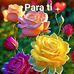 David Vail - Facebook