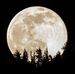 David Vaillancourt - Facebook