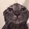 David Valášek - @davids_edit.acc - TikTok