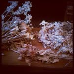David Vancamp - @hybriptly - Instagram