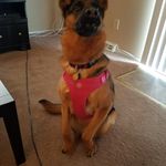 David Tank Vandermark - @davidvandermark - Instagram