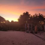 David van Ederen - @davidvanederen - Instagram